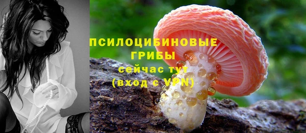 стаф Алексеевка