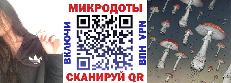 купить наркоту  Льгов  Галлюциногенные грибы Magic Shrooms 